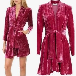NWT A.L.C Kiera Dress / Pink Long Sleeved Crushed Velvet *Barbie Dream Dress*